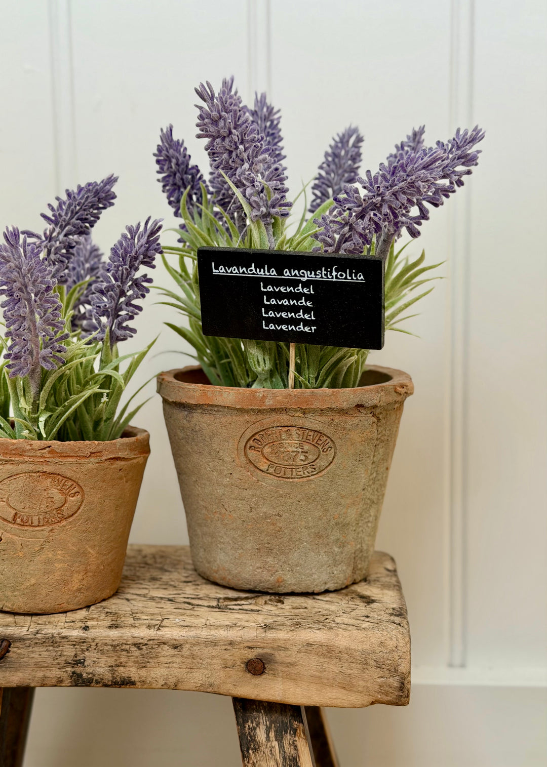 Artificial Lavender In Aged Terracotta Pot - Large