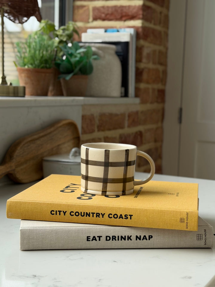 Gingham Check Mug in Pebble Grey