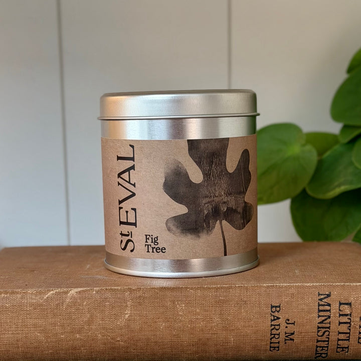 St. Eval Scented Tin Candle - Fig Tree