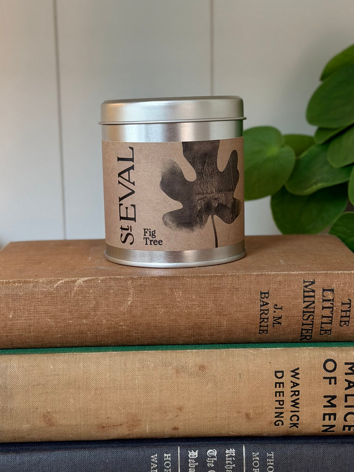St. Eval Scented Tin Candle - Fig Tree