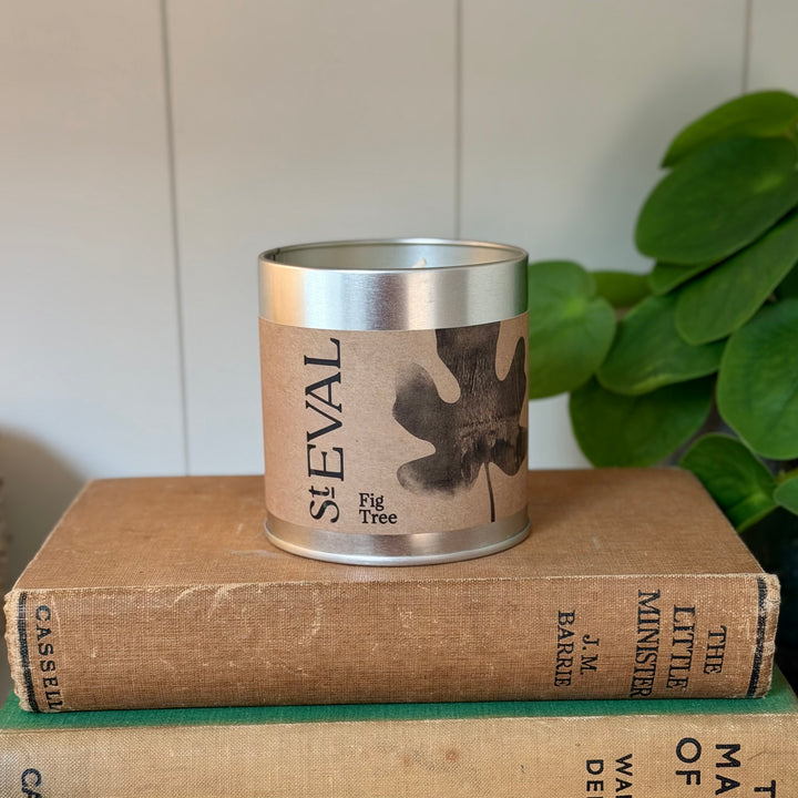 St. Eval Scented Tin Candle - Fig Tree