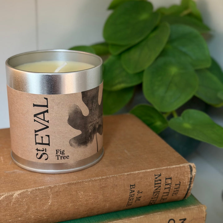 St. Eval Scented Tin Candle - Fig Tree