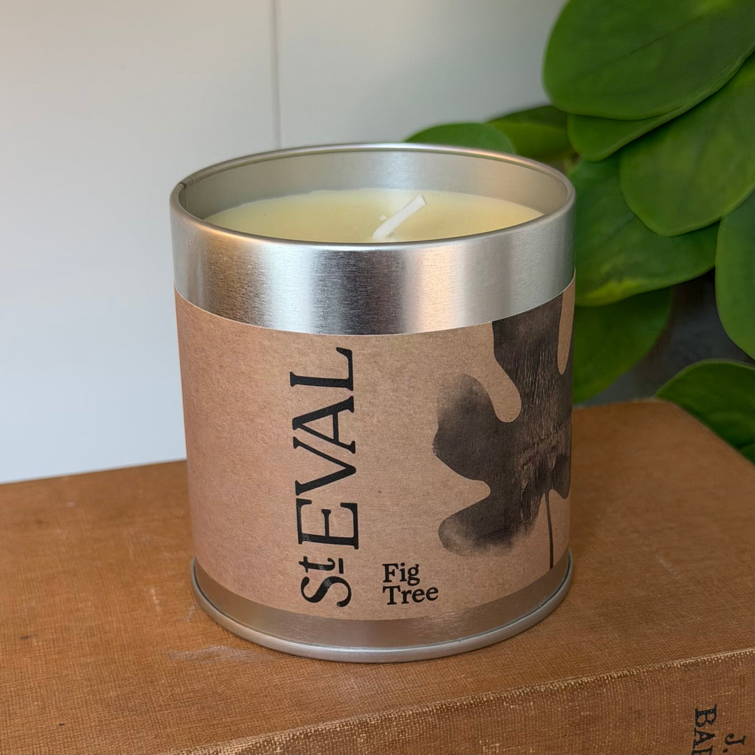 St. Eval Scented Tin Candle - Fig Tree