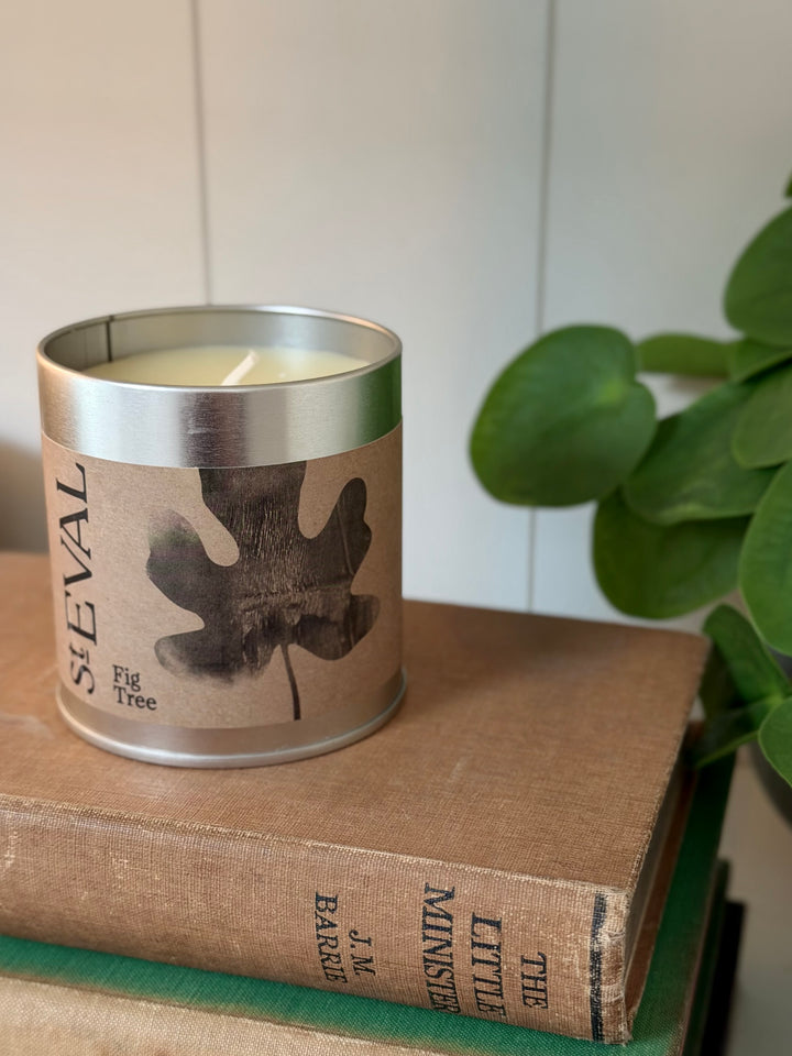 St. Eval Scented Tin Candle - Fig Tree