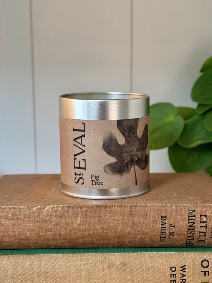 St. Eval Scented Tin Candle - Fig Tree