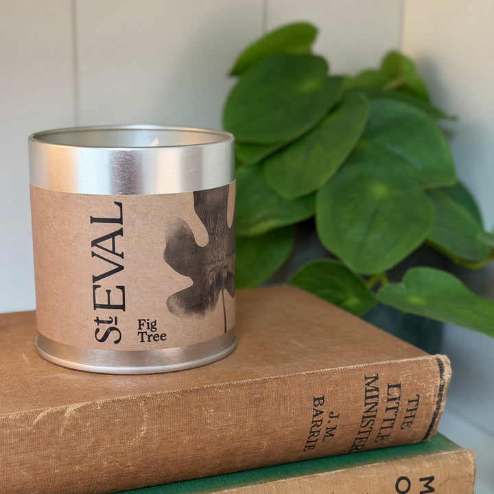 St. Eval Scented Tin Candle - Fig Tree