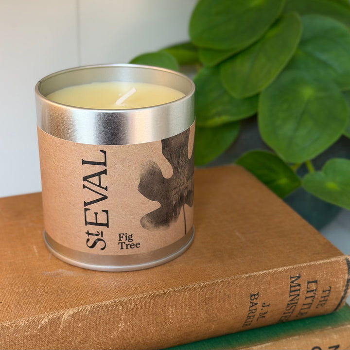 St. Eval Scented Tin Candle - Fig Tree
