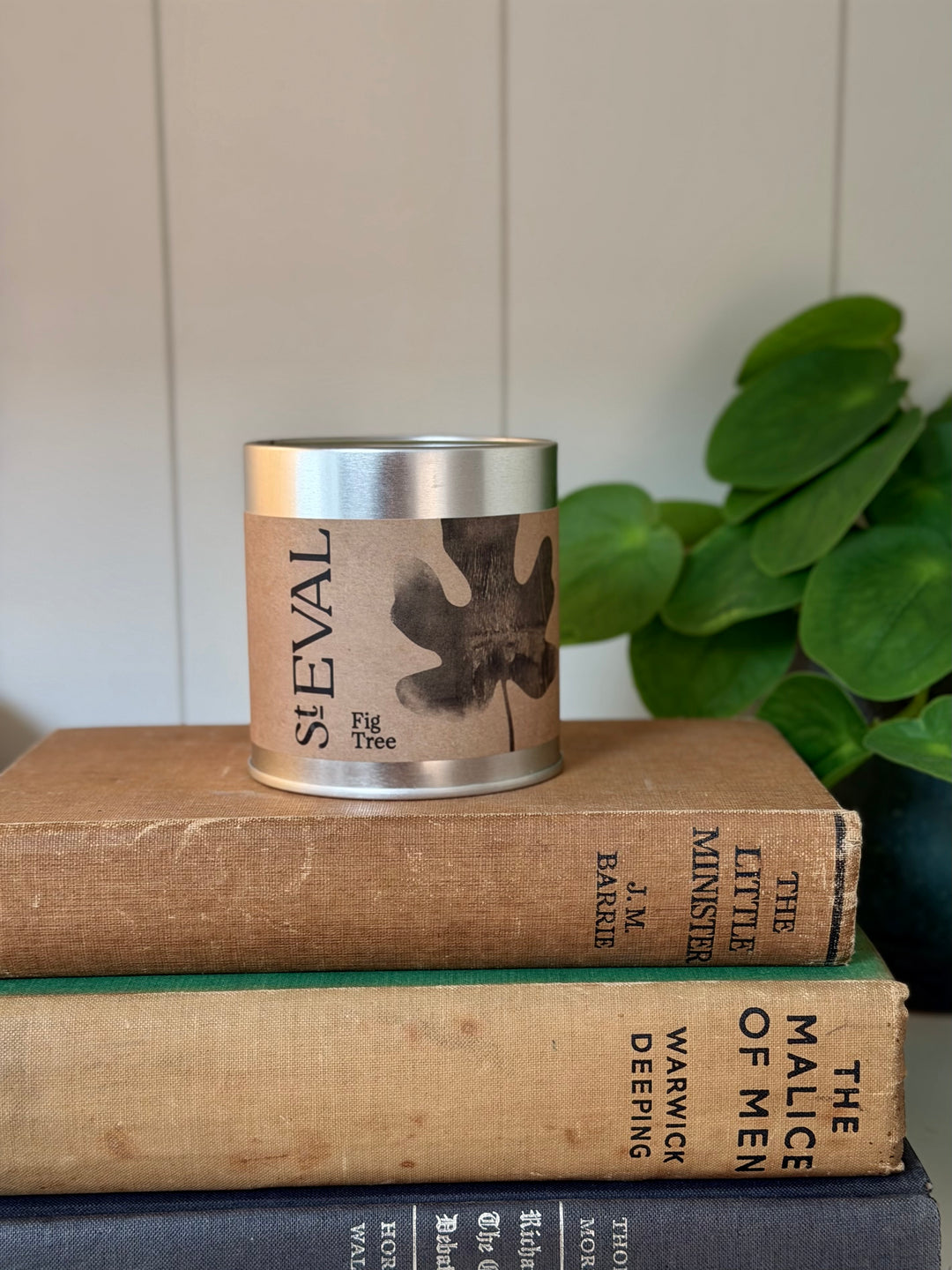 St. Eval Scented Tin Candle - Fig Tree