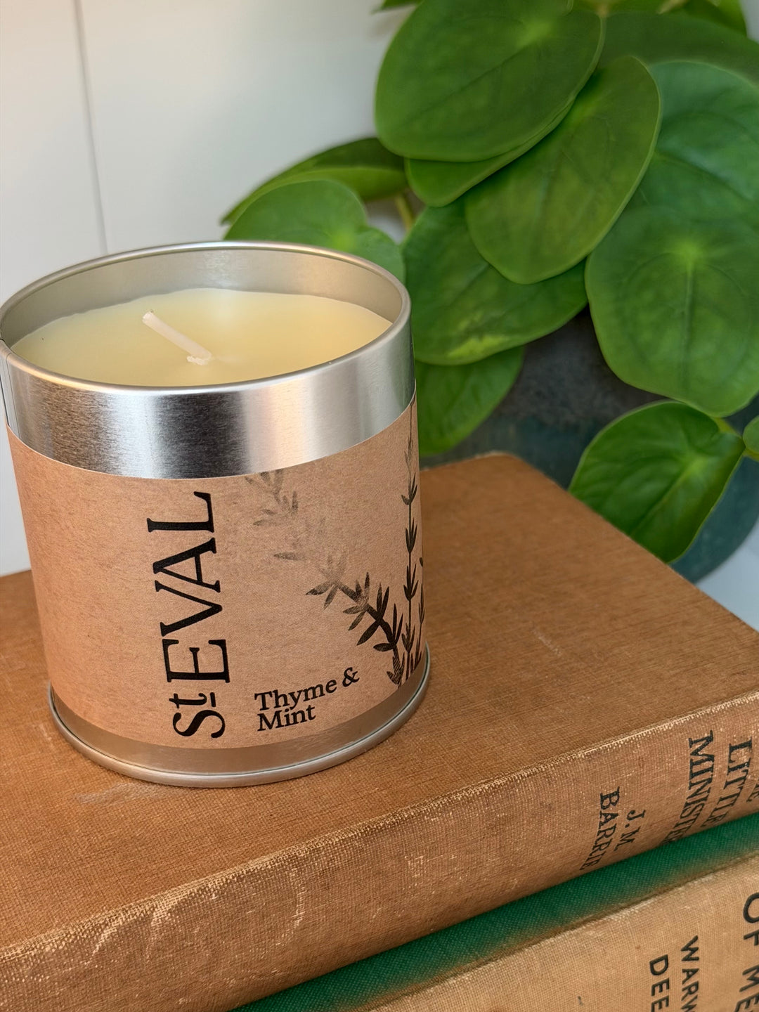 St. Eval Scented Tin Candle - Thyme &amp; Mint