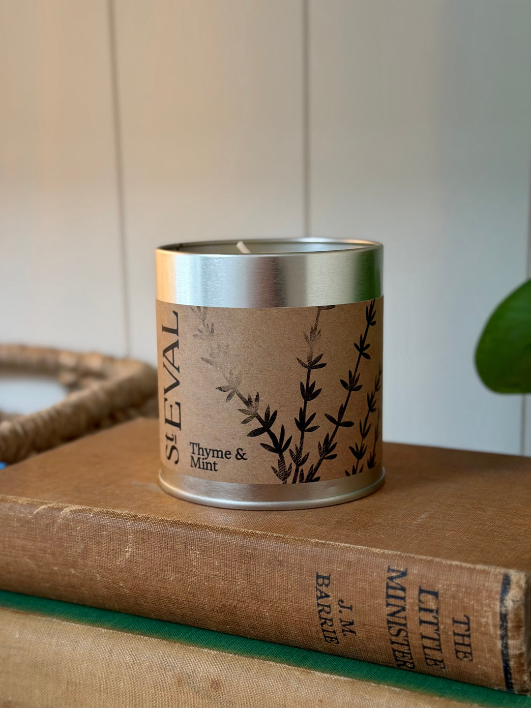 St. Eval Scented Tin Candle - Thyme &amp; Mint