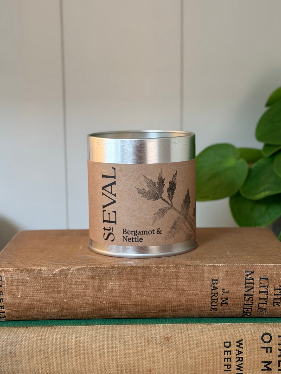 St. Eval Scented Tin Candle - Bergamot &amp; Nettle