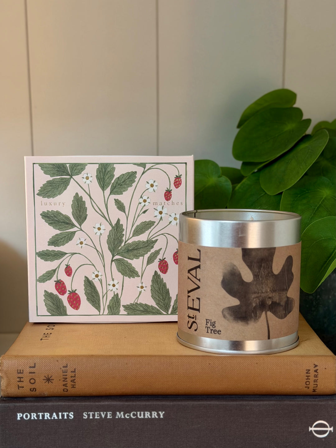 Archivist Gallery - Strawberry Plant - Large Matches