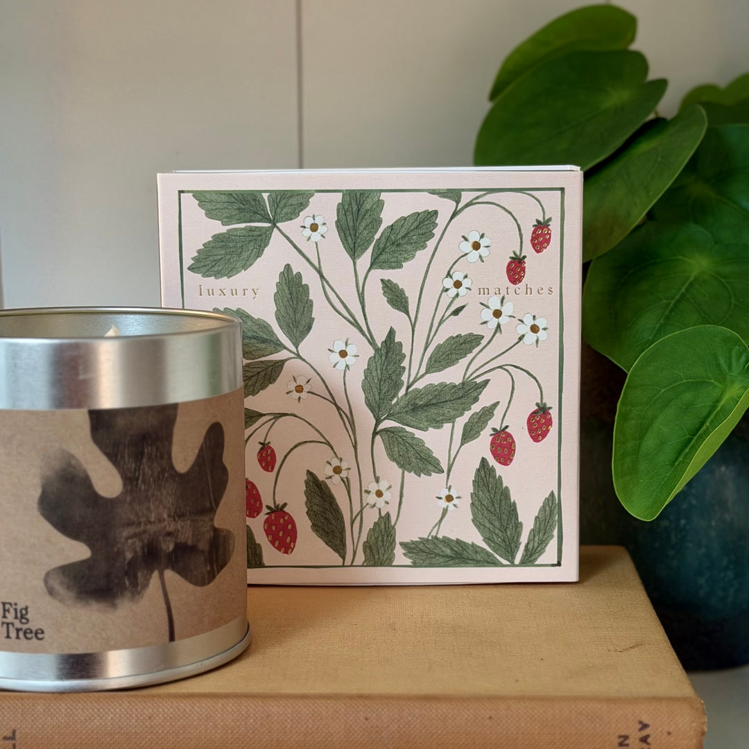 Archivist Gallery - Strawberry Plant - Large Matches