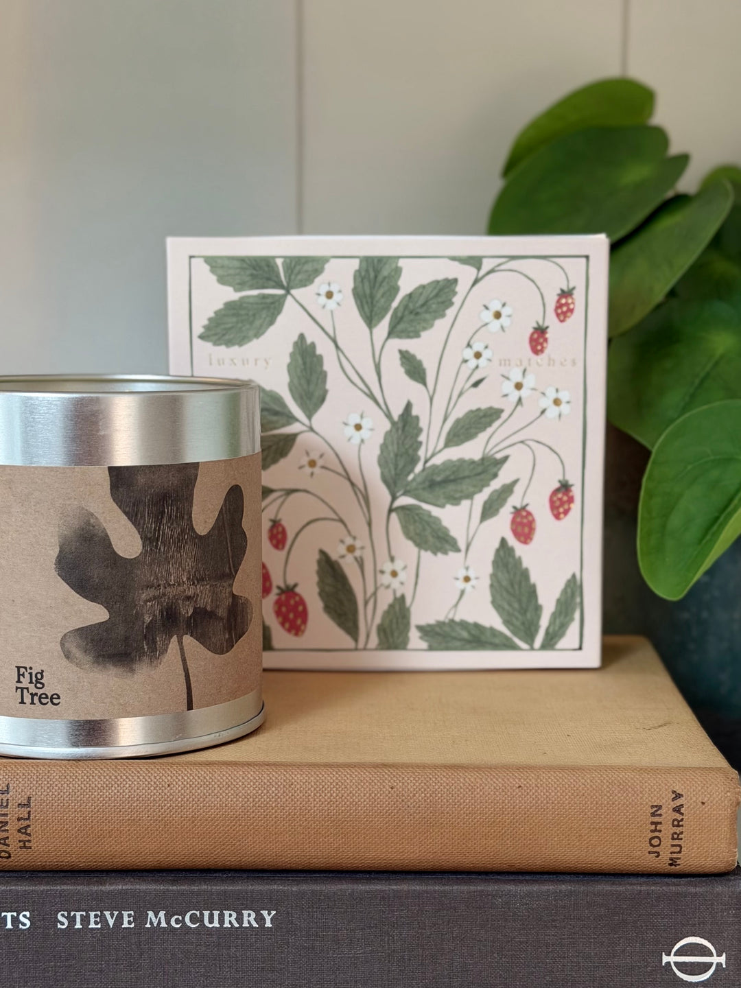 Archivist Gallery - Strawberry Plant - Large Matches