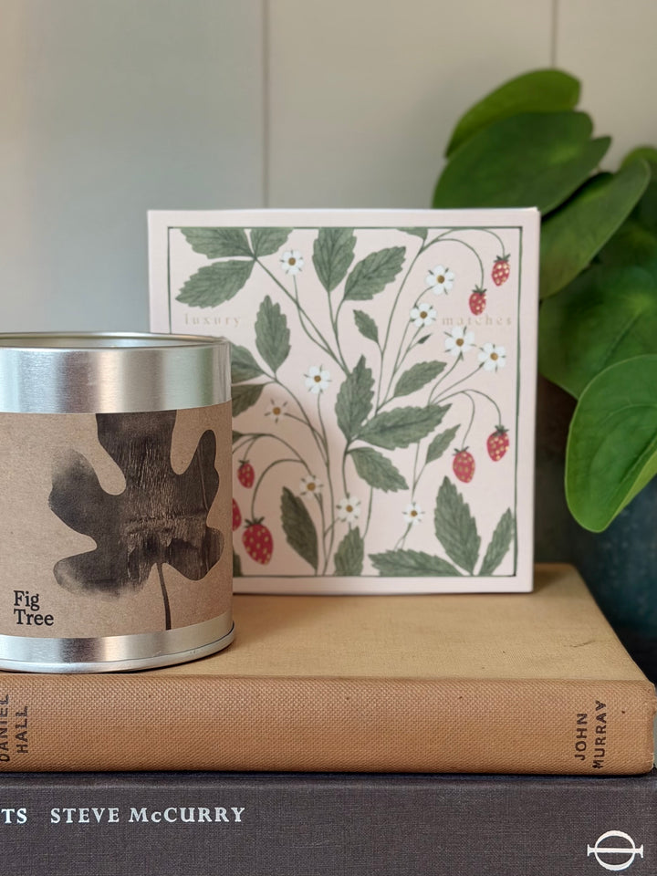 Archivist Gallery - Strawberry Plant - Large Matches
