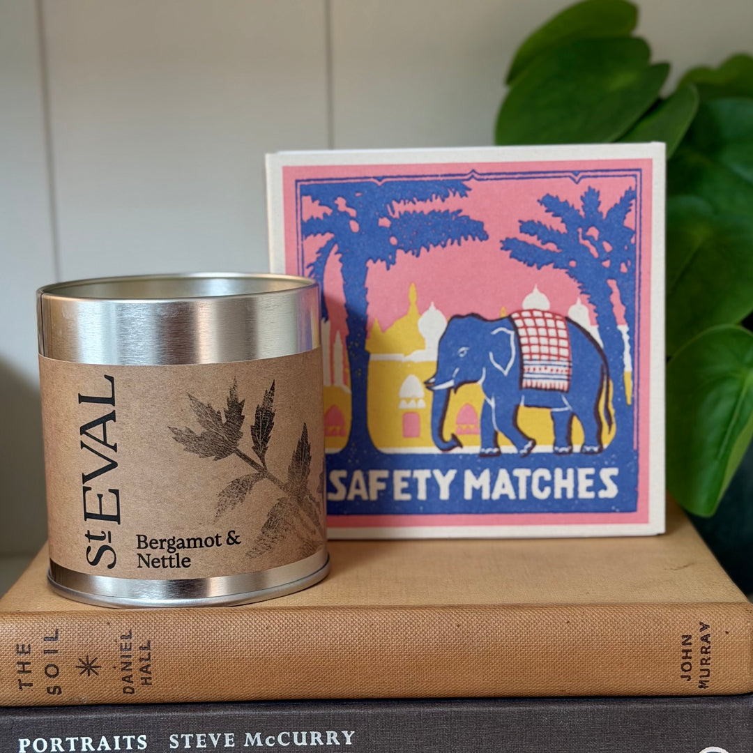 St. Eval Scented Tin Candle - Bergamot &amp; Nettle