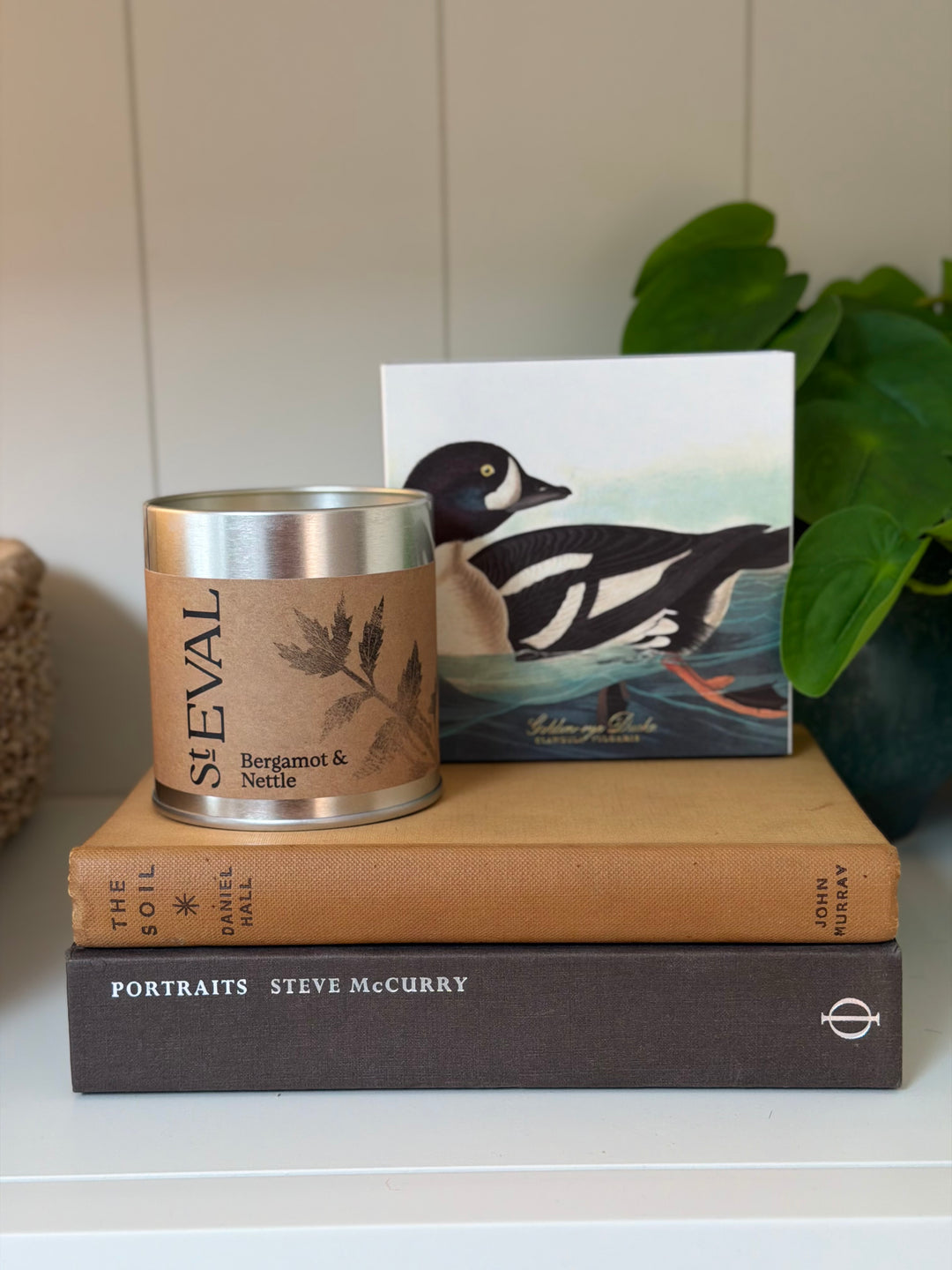 St. Eval Scented Tin Candle - Bergamot &amp; Nettle