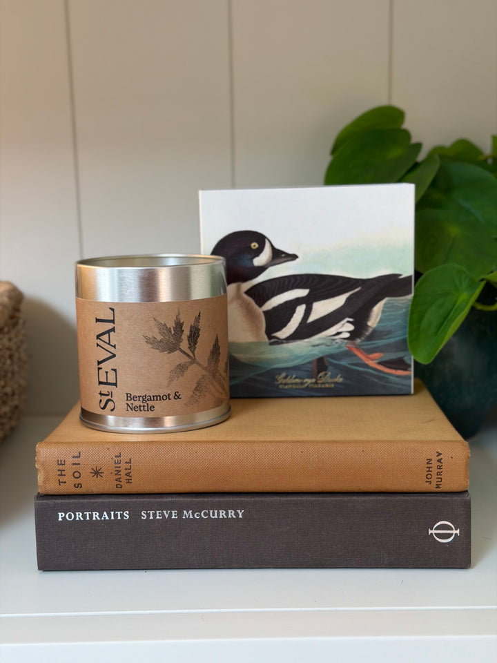 St. Eval Scented Tin Candle - Bergamot &amp; Nettle