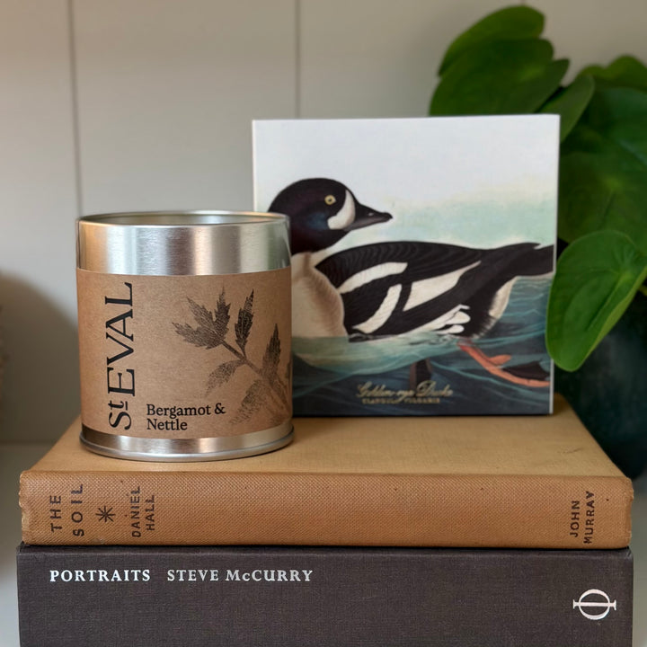 St. Eval Scented Tin Candle - Bergamot &amp; Nettle