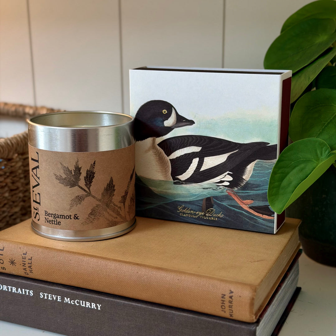 St. Eval Scented Tin Candle - Bergamot &amp; Nettle