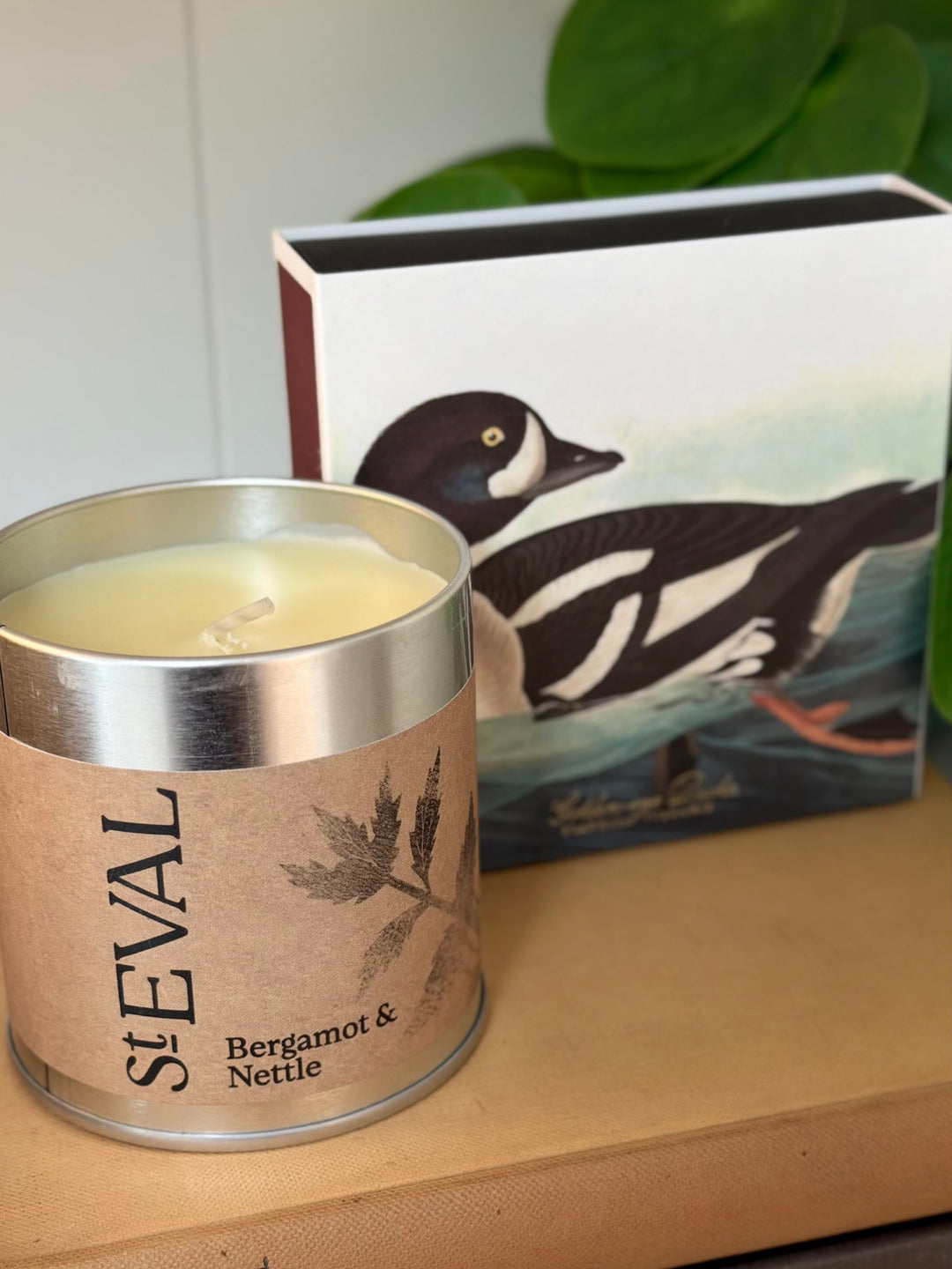 Archivist Gallery - Golden-Eye Duck - Large Matches