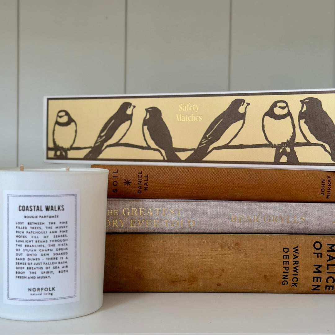 Archivist Gallery - Long Matches - Swallows