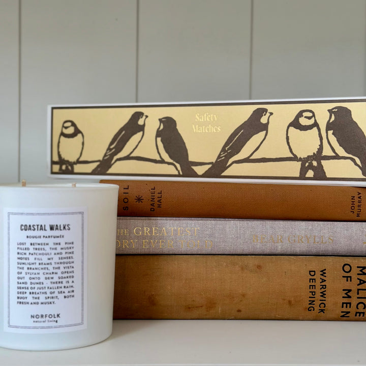 Archivist Gallery - Long Matches - Swallows