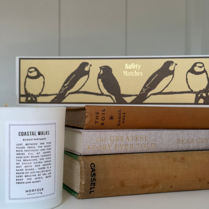 Archivist Gallery - Long Matches - Swallows