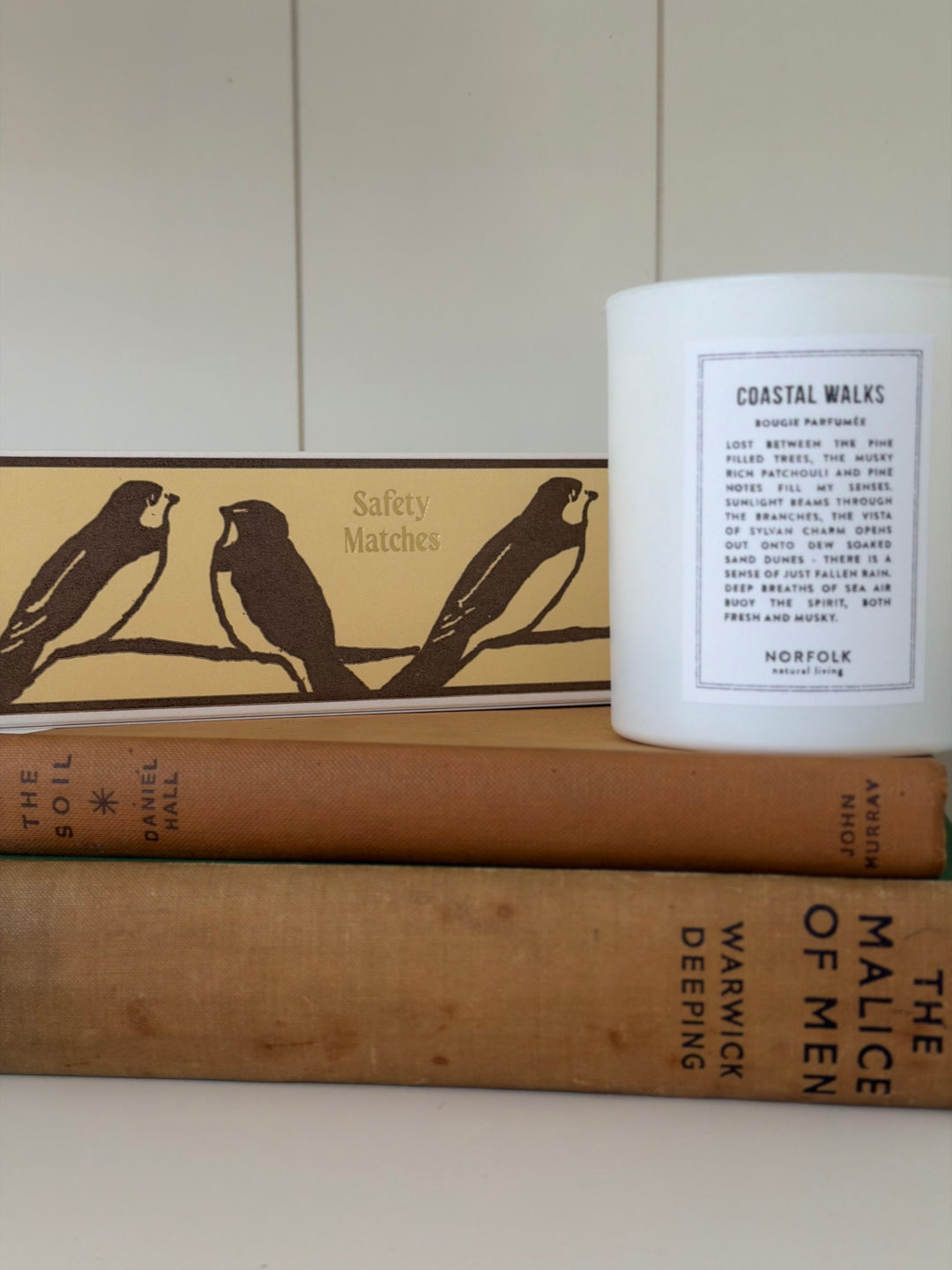 Archivist Gallery - Long Matches - Swallows