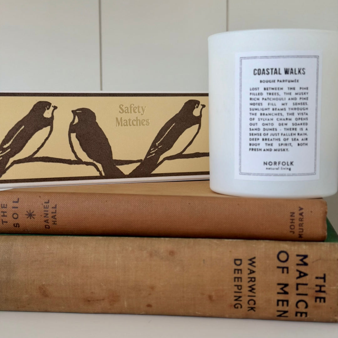 Archivist Gallery - Long Matches - Swallows