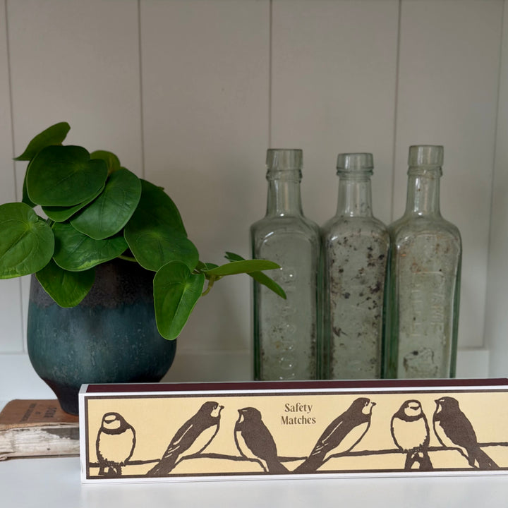 Archivist Gallery - Long Matches - Swallows