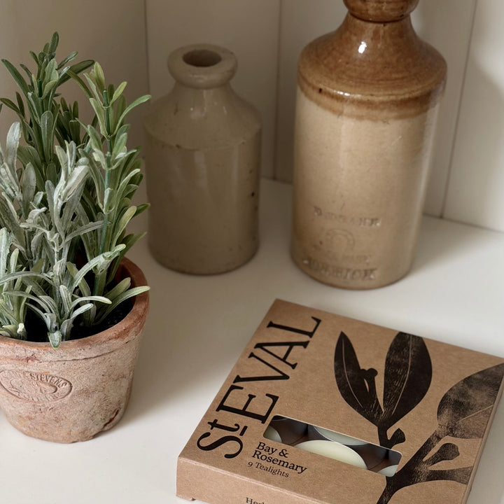 St. Eval - Tealight Candles - Bay &amp; Rosemary