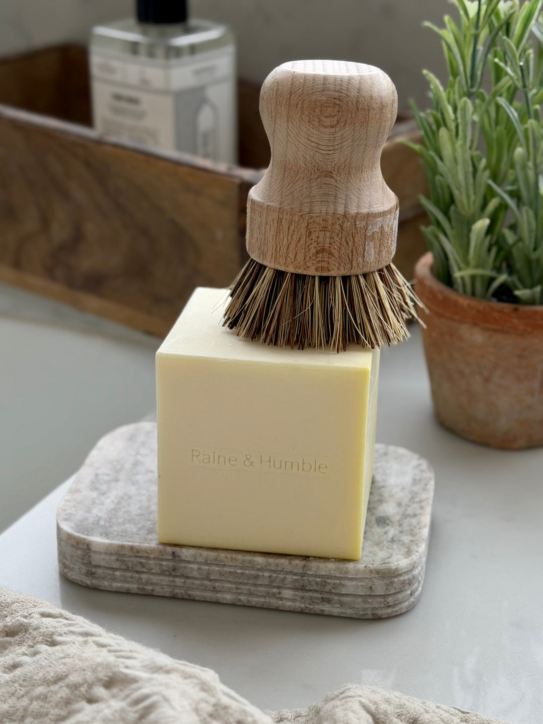 Raine &amp; Humble - Dish Soap Cube - Lemon Myrtle