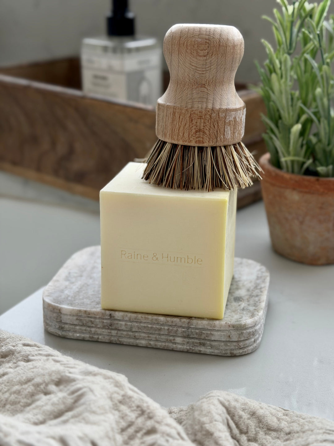 Raine &amp; Humble - Dish Soap Cube - Lemon Myrtle