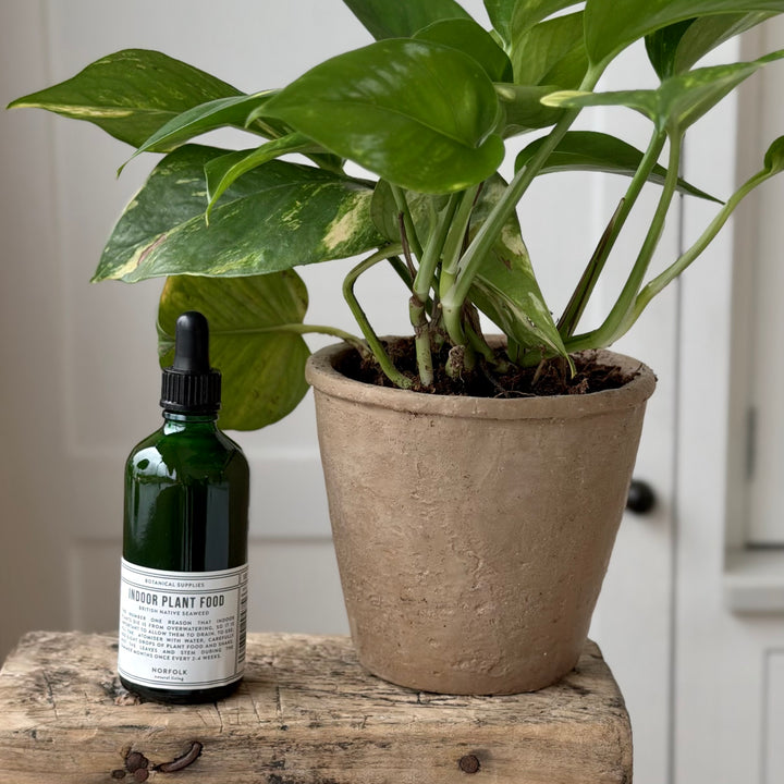 Norfolk Natural Living Indoor Plant Food