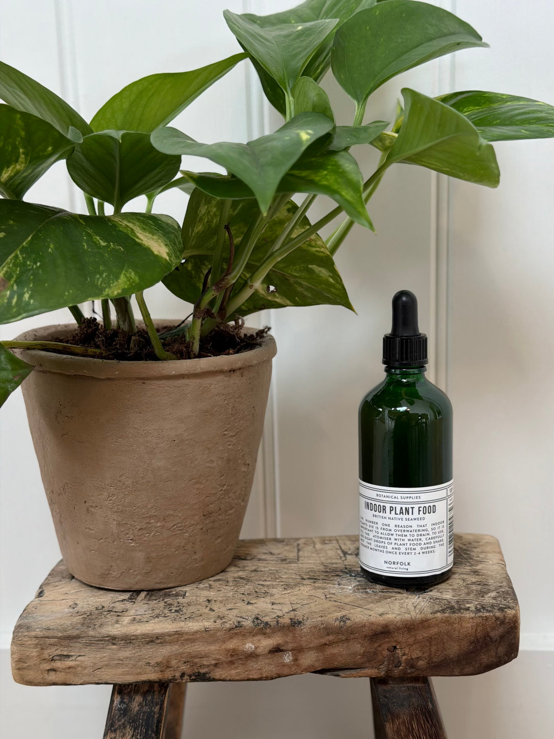 Norfolk Natural Living Indoor Plant Food