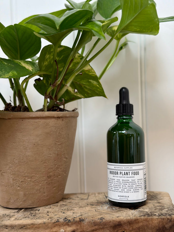 Norfolk Natural Living Indoor Plant Food