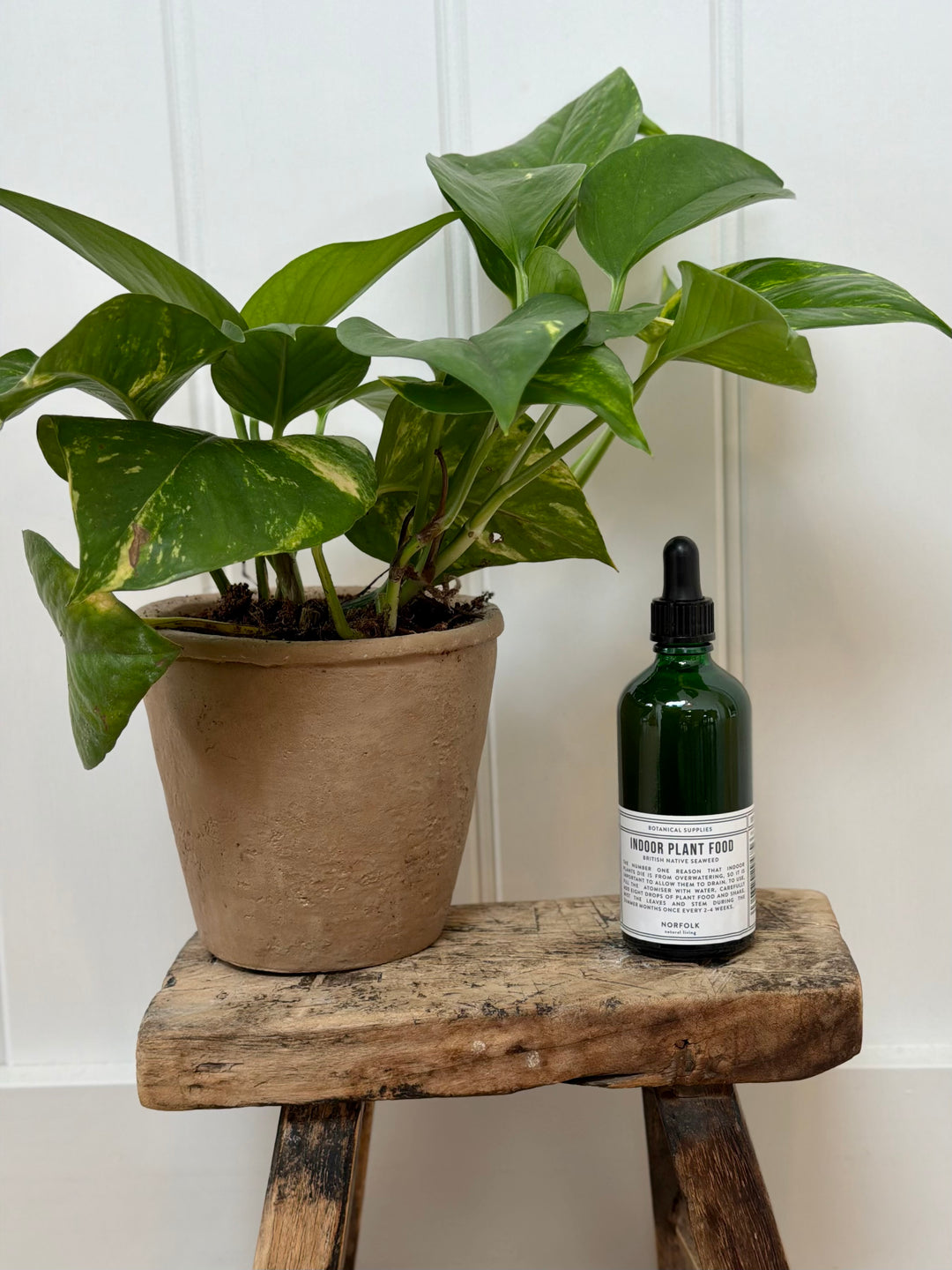Norfolk Natural Living Indoor Plant Food