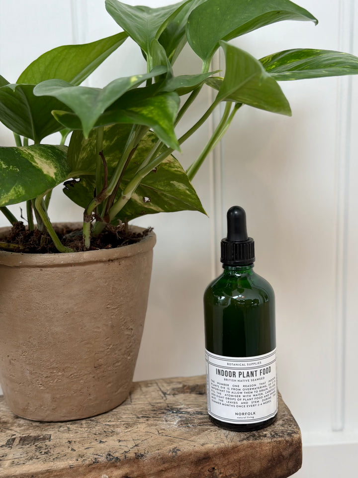 Norfolk Natural Living Indoor Plant Food