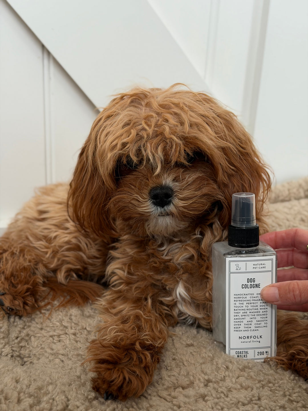 Norfolk Natural Living - Dog Cologne - Coastal Walks