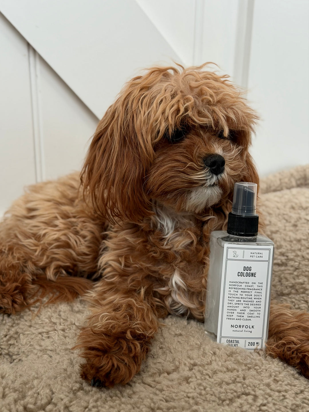 Norfolk Natural Living - Dog Cologne - Coastal Walks