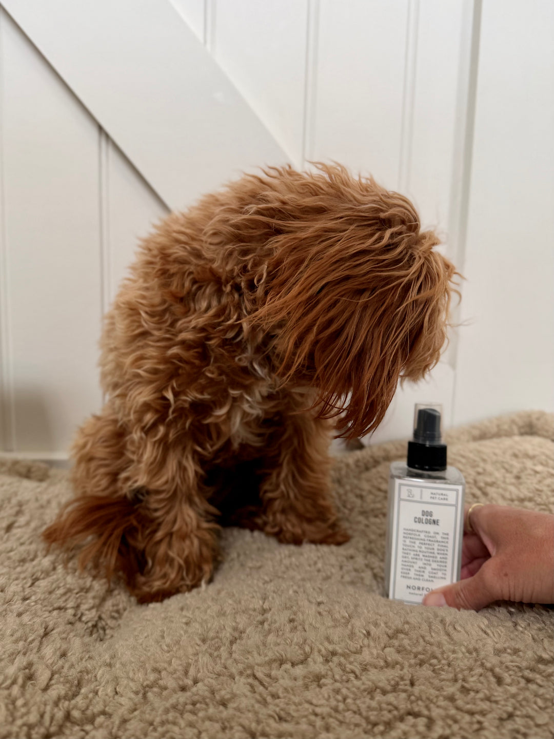 Norfolk Natural Living - Dog Cologne - Coastal Walks
