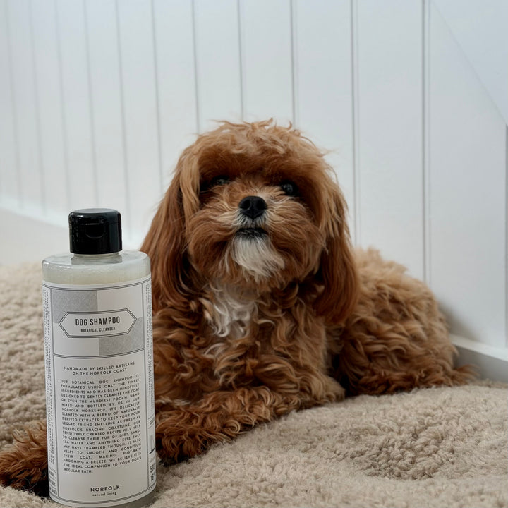 Norfolk Natural Living Dog Shampoo - Coastal