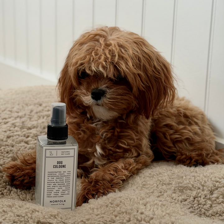Norfolk Natural Living - Dog Cologne - Coastal Walks