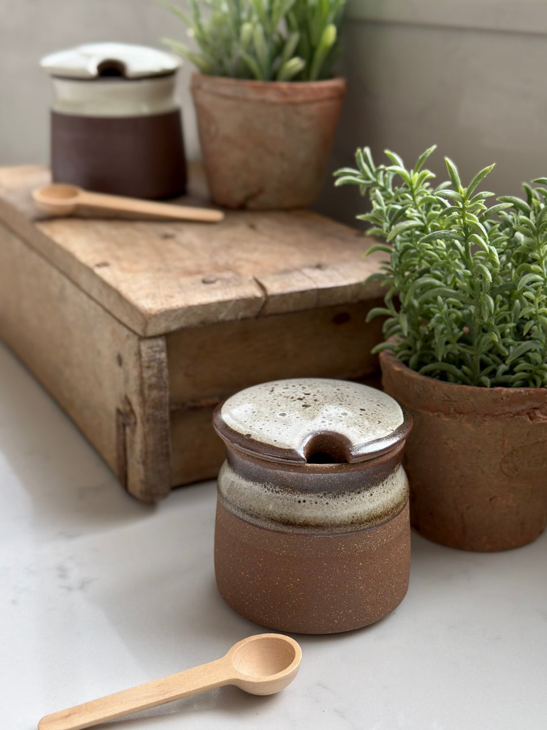 Stoneware Sugar Pot With Wooden Spoon In Tawny