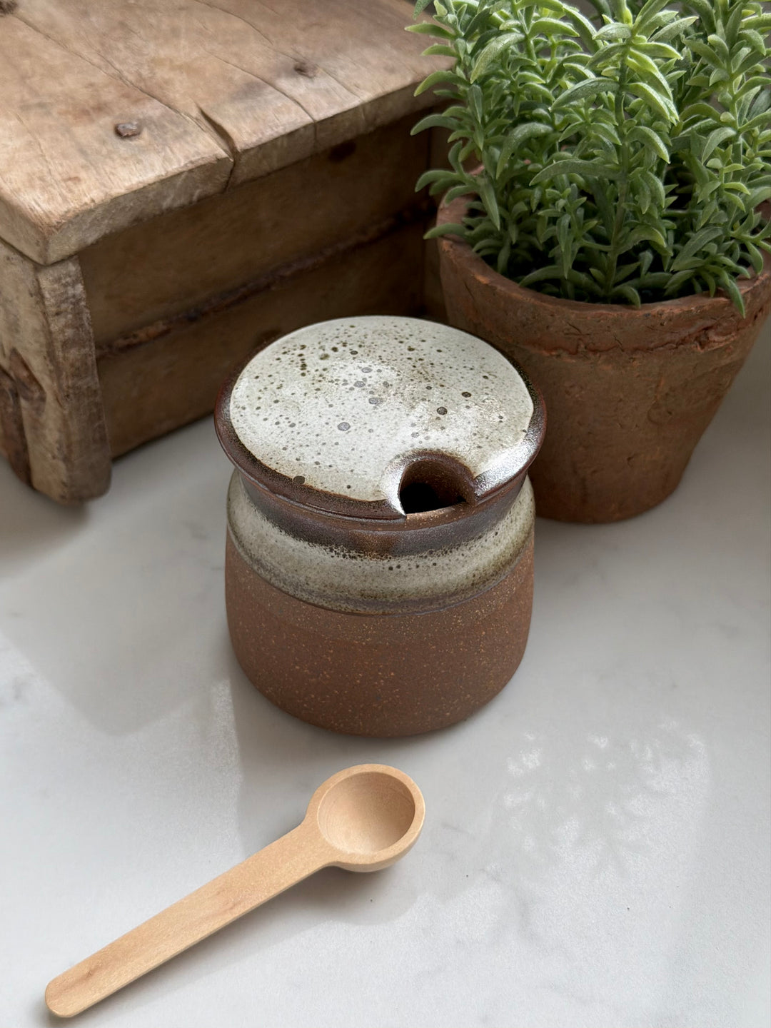 Stoneware Sugar Pot With Wooden Spoon In Tawny