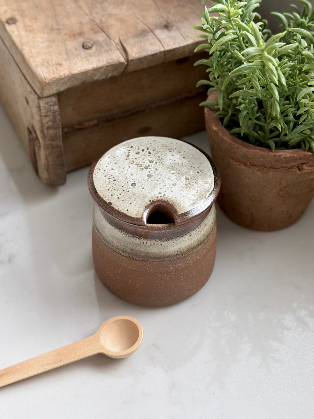 Stoneware Sugar Pot With Wooden Spoon In Tawny