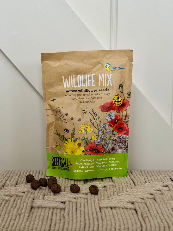 Seedball - Wildflower Grab Bags - Wildlife Seed Mix