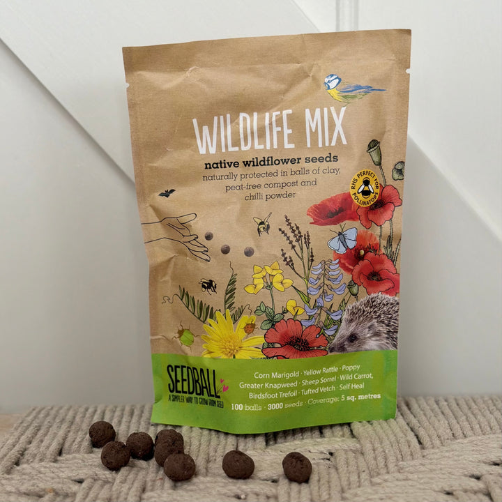 Seedball - Wildflower Grab Bags - Wildlife Seed Mix