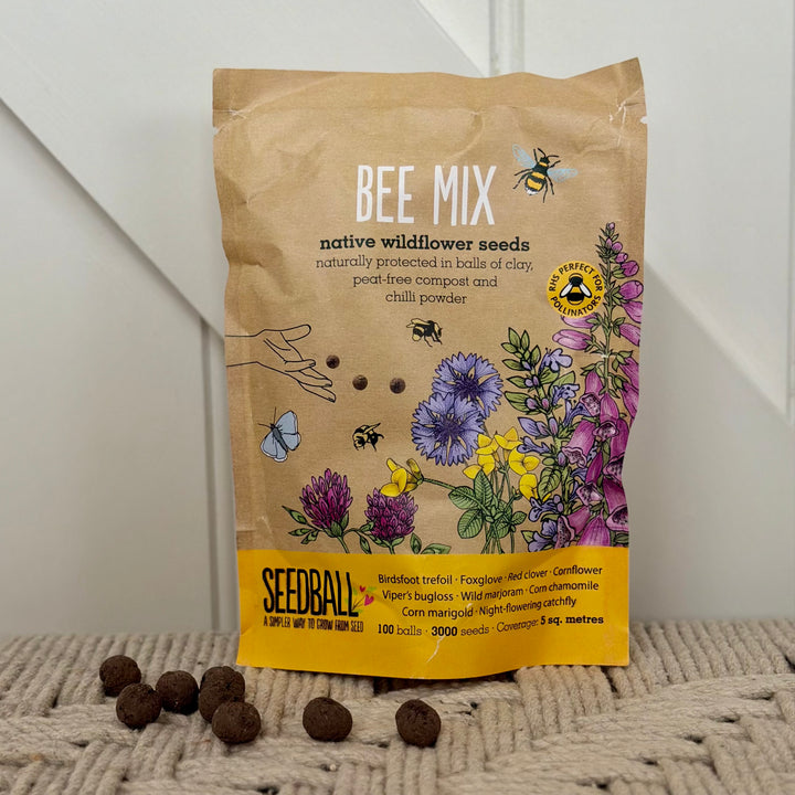 Seedball - Wildflower Grab Bags - Bee Seed Mix